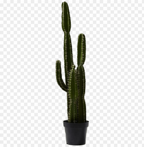 xl potted saguaro cactus PNG Isolated Object with Clear Transparency