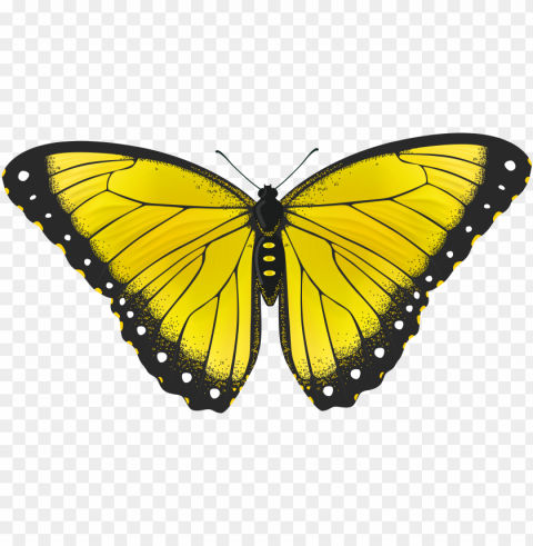 yellow butterflies clipart butterfly transparent - yellow butterfly PNG images with no attribution
