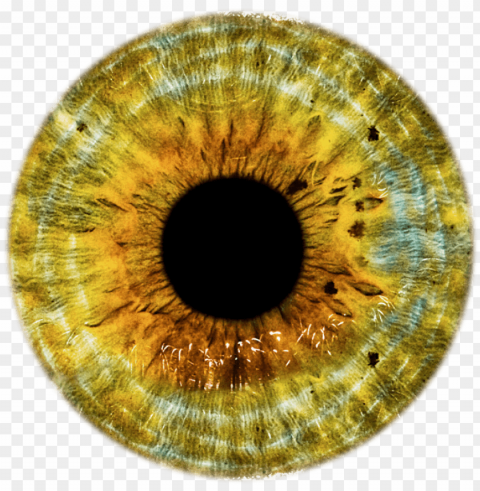 yellow eye lens PNG pictures with alpha transparency PNG transparent with Clear Background ID ba942aa4