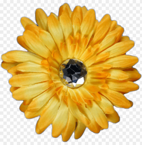 yellow flower - 2 月 8 日 誕生 花 Transparent PNG Isolated Item with Detail PNG transparent with Clear Background ID 9ab65e8e