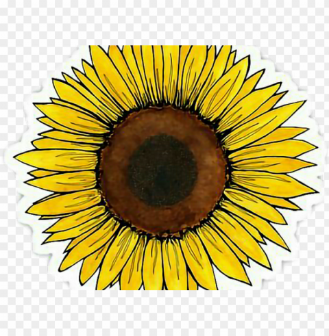 yellow flower clipart tumblr transparent - sunflower sticker Clear PNG images free download