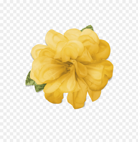 yellow flower crown transparent PNG files with no background free