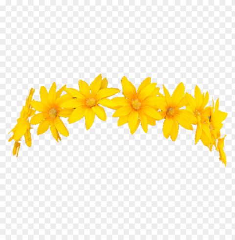 yellow flower crown transparent PNG files with no royalties