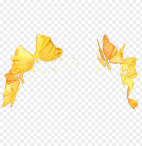 yellow flower crown transparent PNG files with transparency