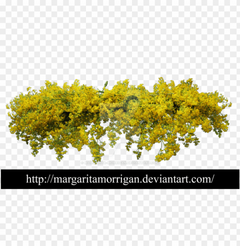 yellow flower crown Transparent PNG graphics bulk assortment