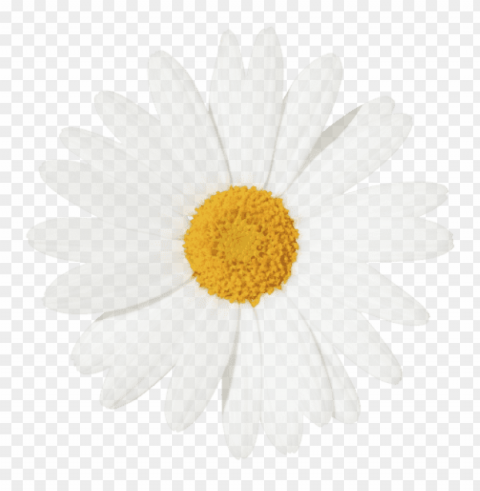 yellow flower crown Transparent PNG graphics complete collection