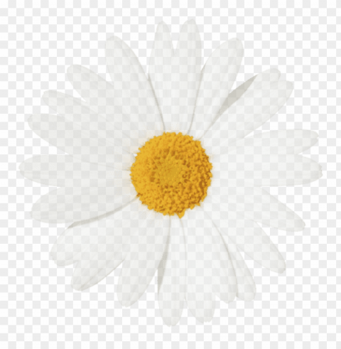 Yellow Flower Crown Transparent PNG Graphics Complete Collection