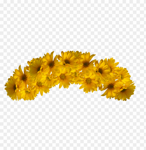 yellow flower crown Transparent PNG graphics library
