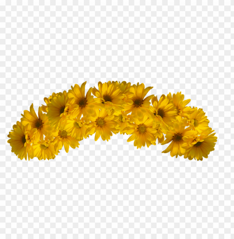 Yellow Flower Crown Transparent PNG Graphics Library