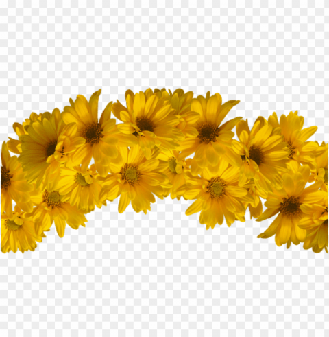 yellow flower crown Transparent PNG graphics variety