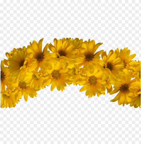 Yellow Flower Crown Transparent PNG Graphics Variety