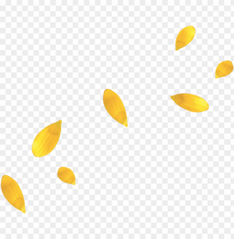 yellow flower petals - yellow flower petal Transparent PNG graphics complete collection
