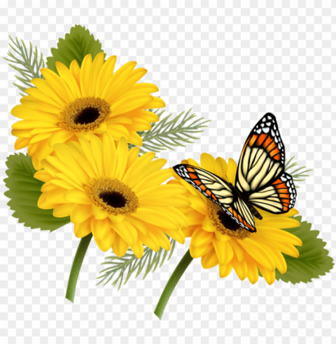 yellow gerberas with butterfly - butterfly on flower clipart Transparent Background Isolation in HighQuality PNG