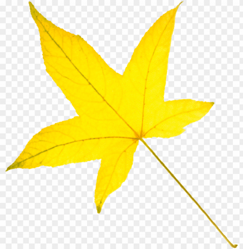 yellow leaf clipart - عکس برگ پاییزی زرد PNG transparent graphics comprehensive assortment