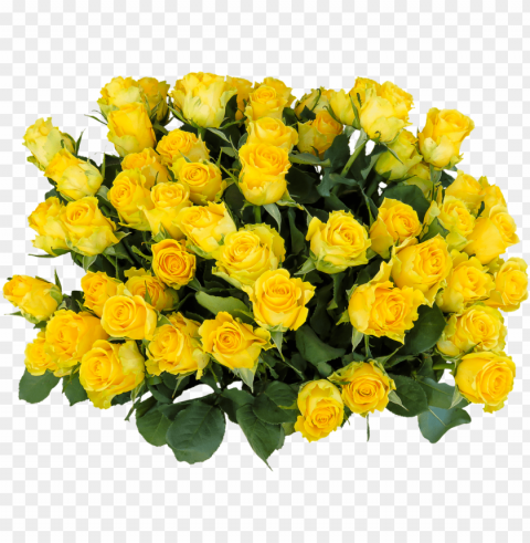 yellow rose flower free transparent images free - birthday bouquet images download Clear PNG pictures package