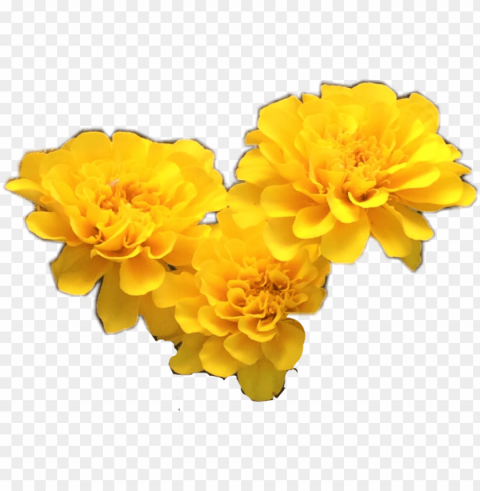 yellow flower crown download - yellow flowers tumblr PNG transparent artwork