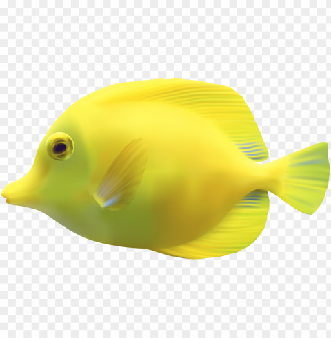 yellow zebrasomatang fish clipart - fish PNG with no registration needed
