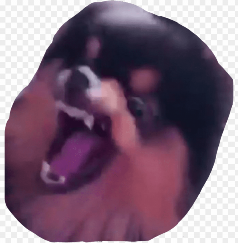 yeontan angry dog bts meme rage - yeontan memes PNG images with high transparency