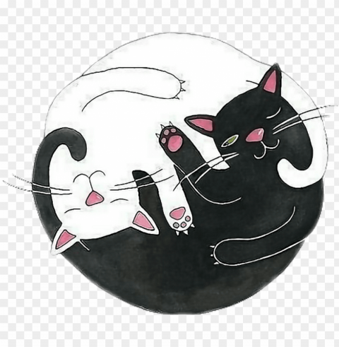 yingyang sticker - overlays tumblr cat HighResolution PNG Isolated on Transparent Background