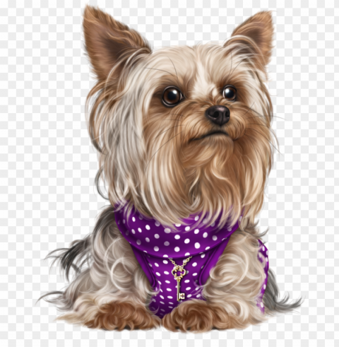 yorky puppy images cute puppies cute dogs dog cat - figurinha cachorro PNG with clear transparency