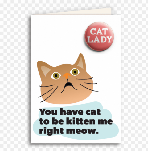 you have cat to be kitten me right meow ua card and PNG Image Isolated on Transparent Backdrop