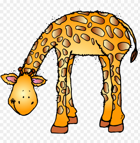zoo animal clipart - zoo animals clip art Isolated Design Element in HighQuality Transparent PNG