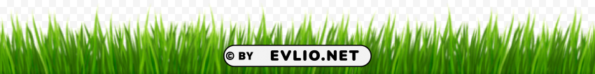 fresh grass Transparent PNG images collection