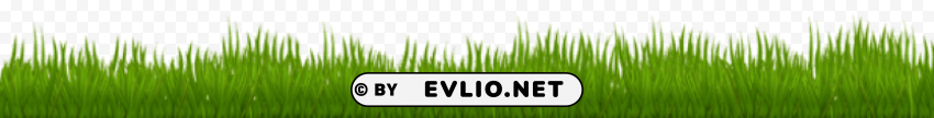grass Isolated Item with Clear Background PNG