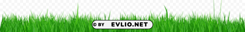  Grass Isolated Item With Transparent Background PNG