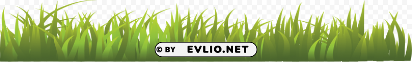 Grass HighResolution PNG Isolated Illustration