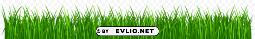 PNG image of grass PNG pictures with alpha transparency with a clear background - Image ID 1ba26be2