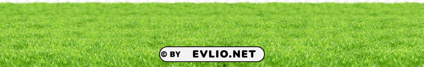 grass Images in PNG format with transparency clipart png photo - e97521e9