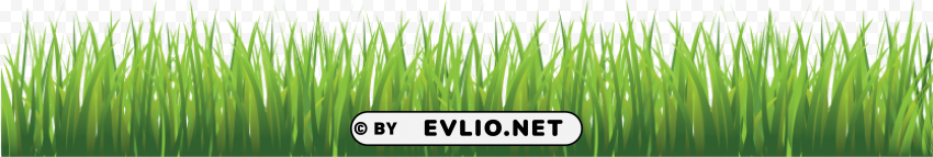 grass HighResolution Transparent PNG Isolated Element