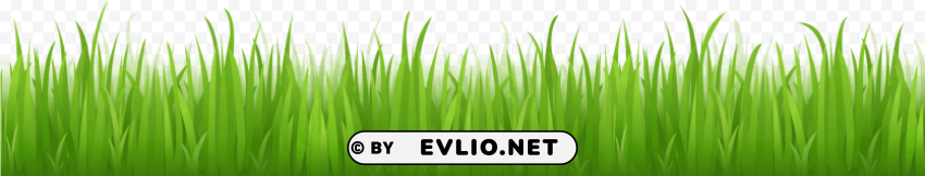 grass with no background Isolated Character in Transparent PNG Format