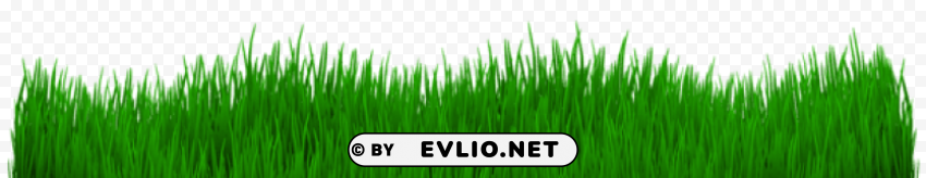 Grass PNG Transparent Designs