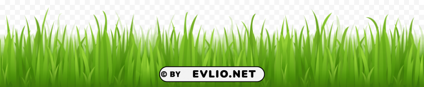 grass Isolated Character in Clear Background PNG