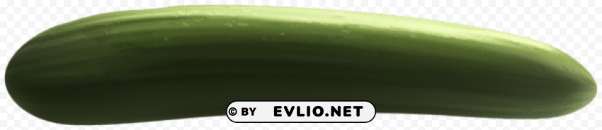 cucumber Transparent PNG images extensive variety