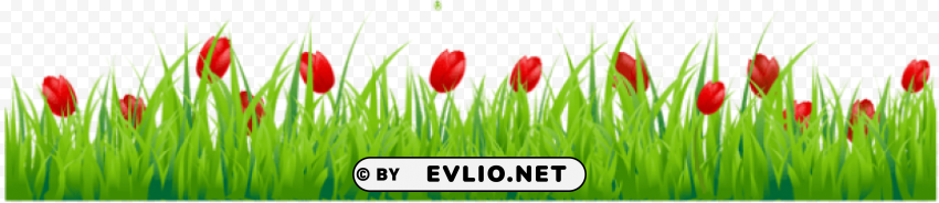 grass with red tulips Isolated Illustration with Clear Background PNG