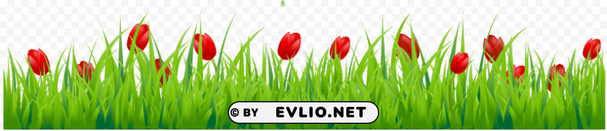 PNG image of tulip PNG images with transparent layer with a clear background - Image ID bb3c8732