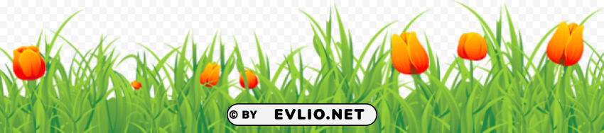grass ground with tulips Isolated Item in HighQuality Transparent PNG