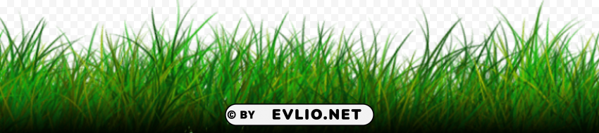 grass PNG images with no background needed