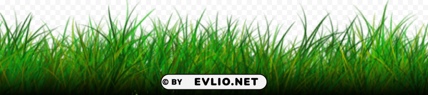 picsart grass hd ClearCut Background PNG Isolated Item PNG transparent with Clear Background ID 58aaf740