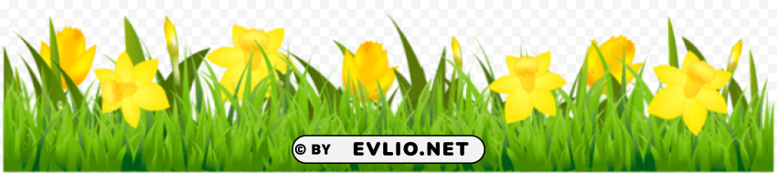 grass with daffodils Isolated Item on HighQuality PNG