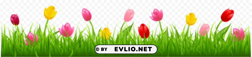 grass with colorful tulips Isolated Illustration on Transparent PNG