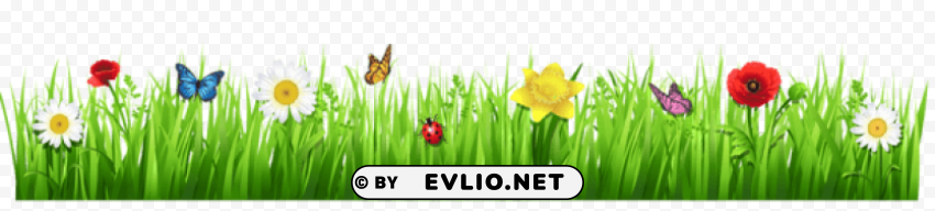 spring grass with flowerspicture Isolated Element in Clear Transparent PNG