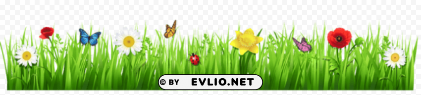 Spring Grass With Flowerspicture Isolated Element In Clear Transparent PNG