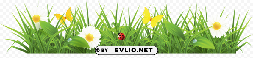 grass Isolated Character on HighResolution PNG