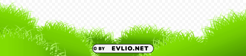 Grass PNG Files With Clear Backdrop Assortment