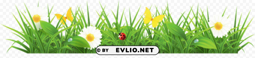 grass ground with flowerspicture Isolated Element in HighQuality PNG