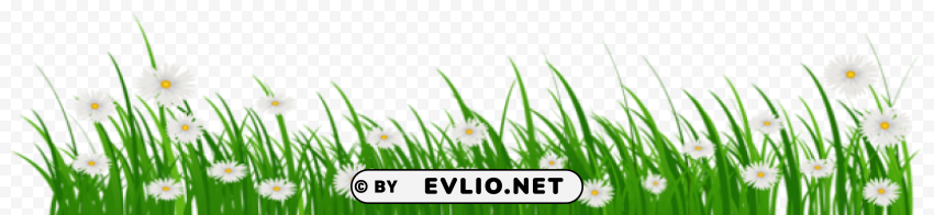 grass with flowers Isolated Element with Transparent PNG Background